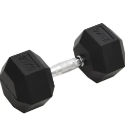 vidaXL Halters 25 kg gietijzer