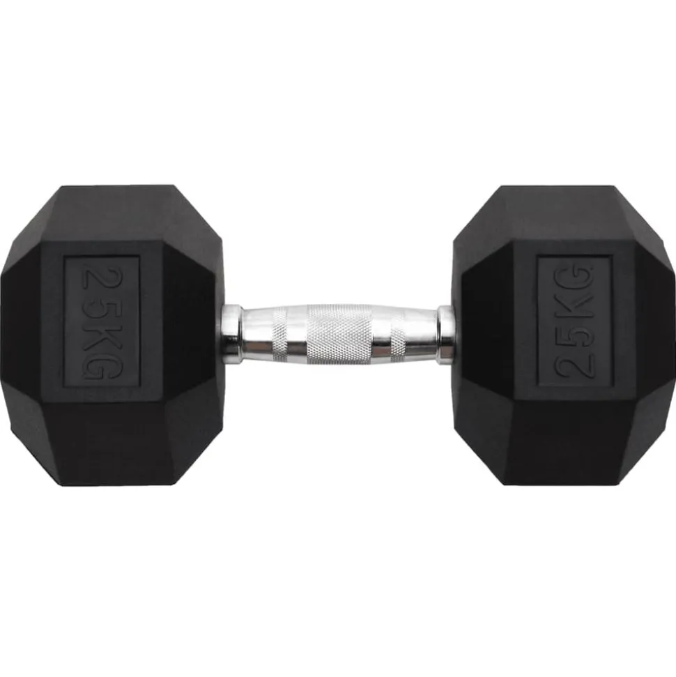 vidaXL Halters 25 kg gietijzer