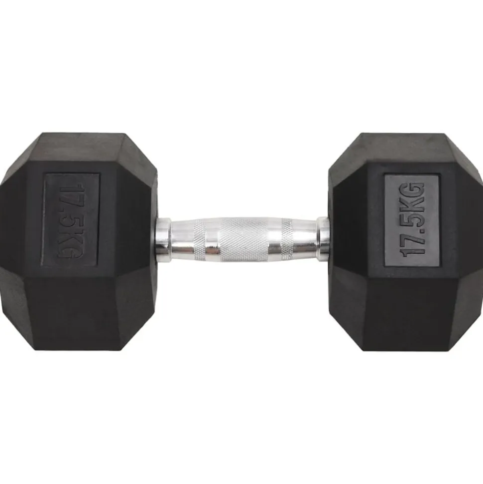 vidaXL Halters 17,5 kg gietijzer