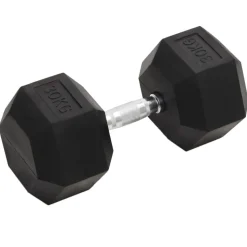 vidaXL Halters 30 kg gietijzer