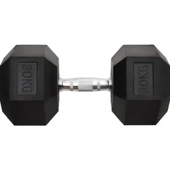 vidaXL Halters 30 kg gietijzer