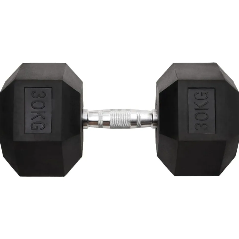 vidaXL Halters 30 kg gietijzer