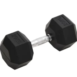 vidaXL Halters 20 kg gietijzer