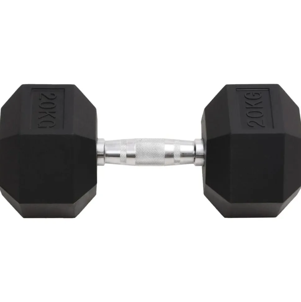 vidaXL Halters 20 kg gietijzer
