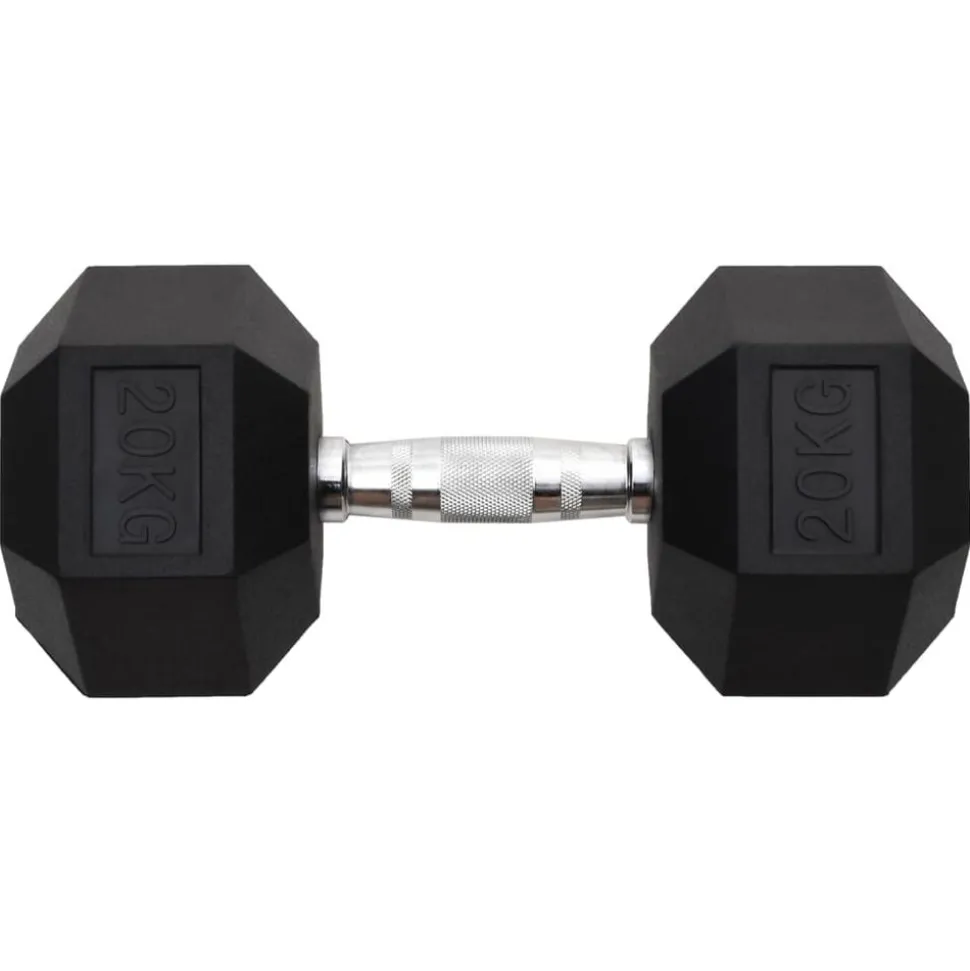 vidaXL Halters 20 kg gietijzer
