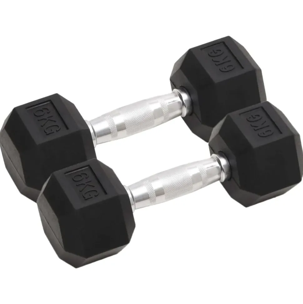 vidaXL Halters 2 st 12 kg totaal gietijzer