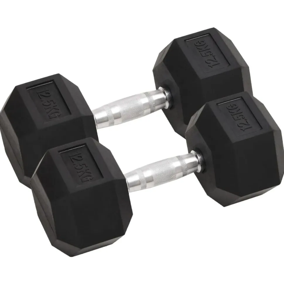 vidaXL Halters 2 st 25 kg totaal gietijzer