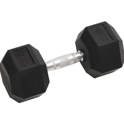vidaXL Halters 2 st 25 kg totaal gietijzer