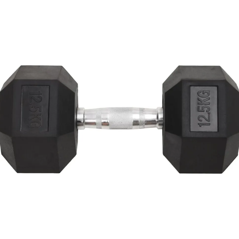 vidaXL Halters 2 st 25 kg totaal gietijzer