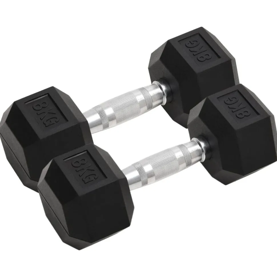 vidaXL Halters 2 st 16 kg totaal gietijzer