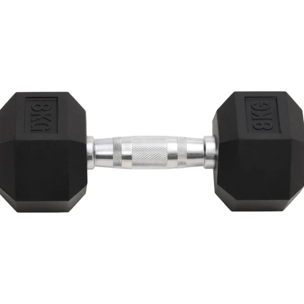 vidaXL Halters 2 st 16 kg totaal gietijzer