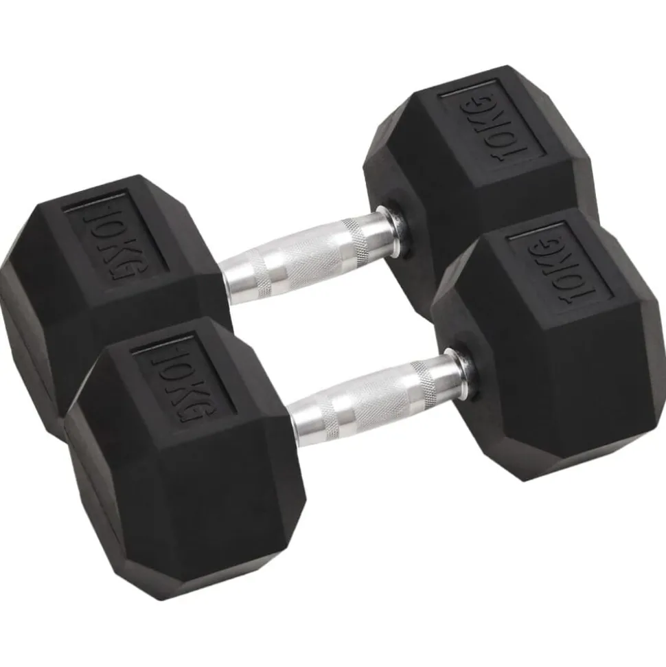 vidaXL Halters 2 st 20 kg totaal gietijzer