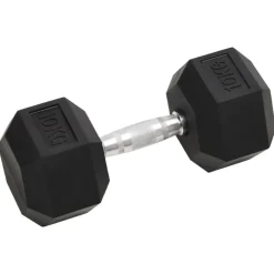 vidaXL Halters 2 st 20 kg totaal gietijzer