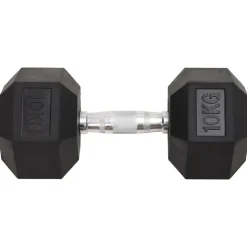 vidaXL Halters 2 st 20 kg totaal gietijzer