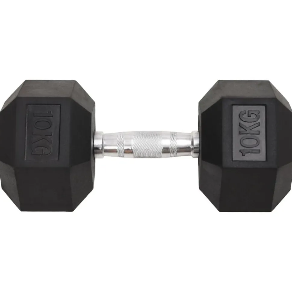 vidaXL Halters 2 st 20 kg totaal gietijzer
