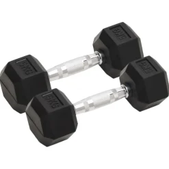 vidaXL Halters 2 st 10 kg totaal gietijzer