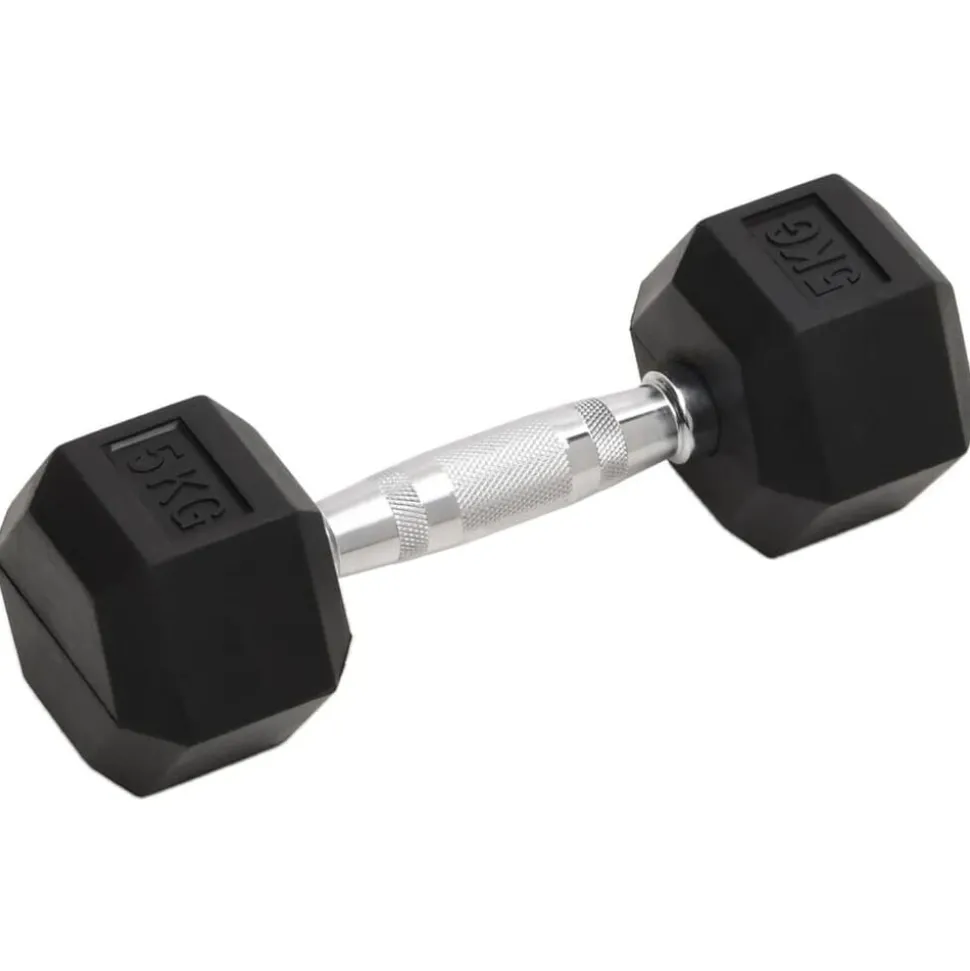 vidaXL Halters 2 st 10 kg totaal gietijzer