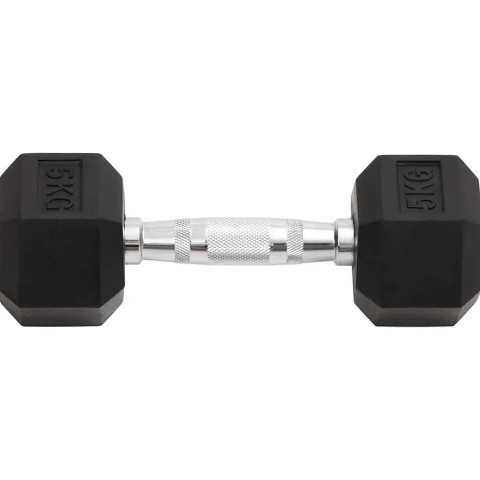 vidaXL Halters 2 st 10 kg totaal gietijzer