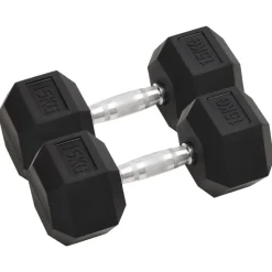 vidaXL Halters 2 st 30 kg totaal gietijzer