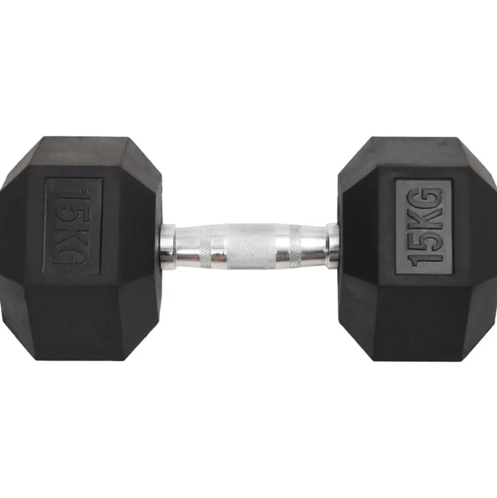 vidaXL Halters 2 st 30 kg totaal gietijzer