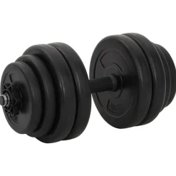 vidaXL Halters 2x15 kg