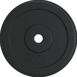 vidaXL Halterschijf 20 kg gietijzer