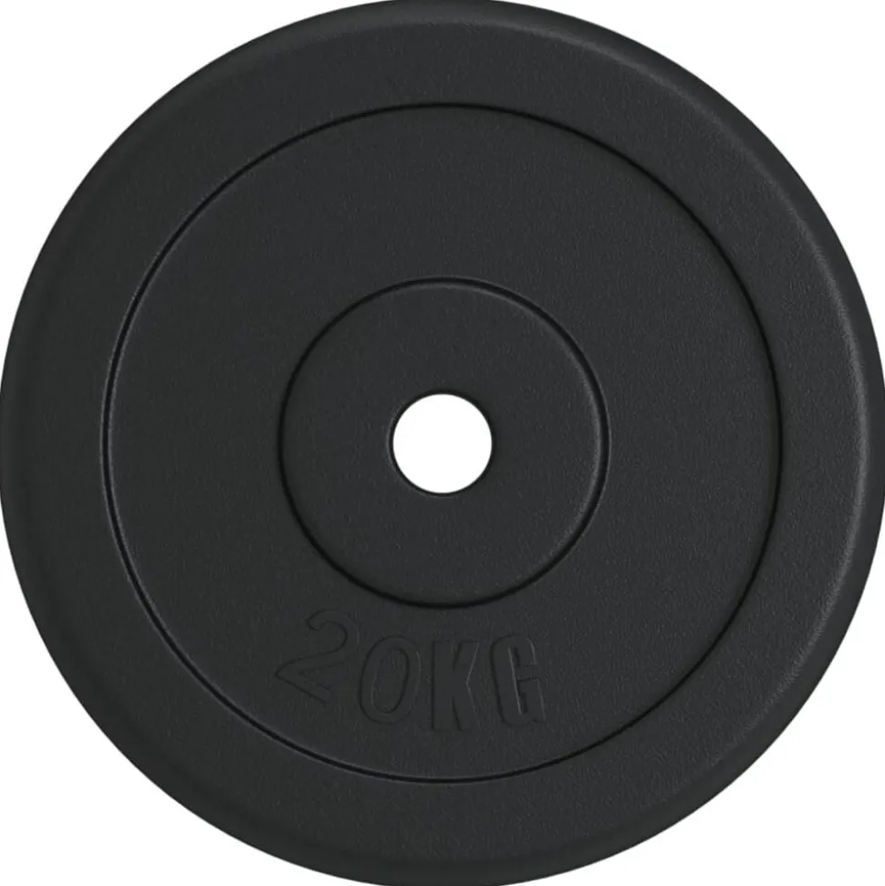 vidaXL Halterschijf 20 kg gietijzer
