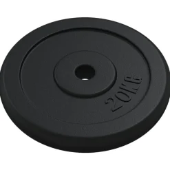 vidaXL Halterschijf 20 kg gietijzer