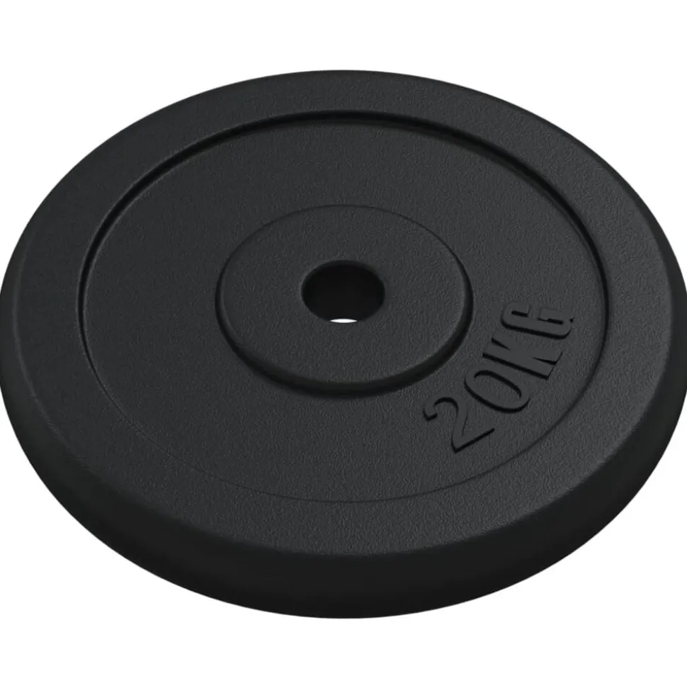 vidaXL Halterschijf 20 kg gietijzer