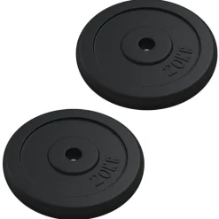 vidaXL Halterschijf 40 kg gietijzer