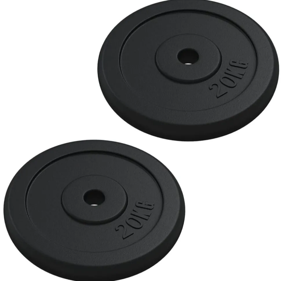 vidaXL Halterschijf 40 kg gietijzer