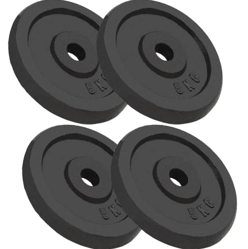 vidaXL Halterschijven 4 st 4x5 kg gietijzer