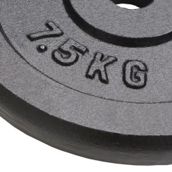 vidaXL Halterschijven 4 st 4x7,5 kg gietijzer