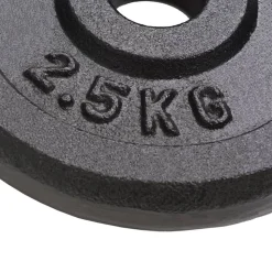 vidaXL Halterschijven 8 st 8x2,5 kg gietijzer
