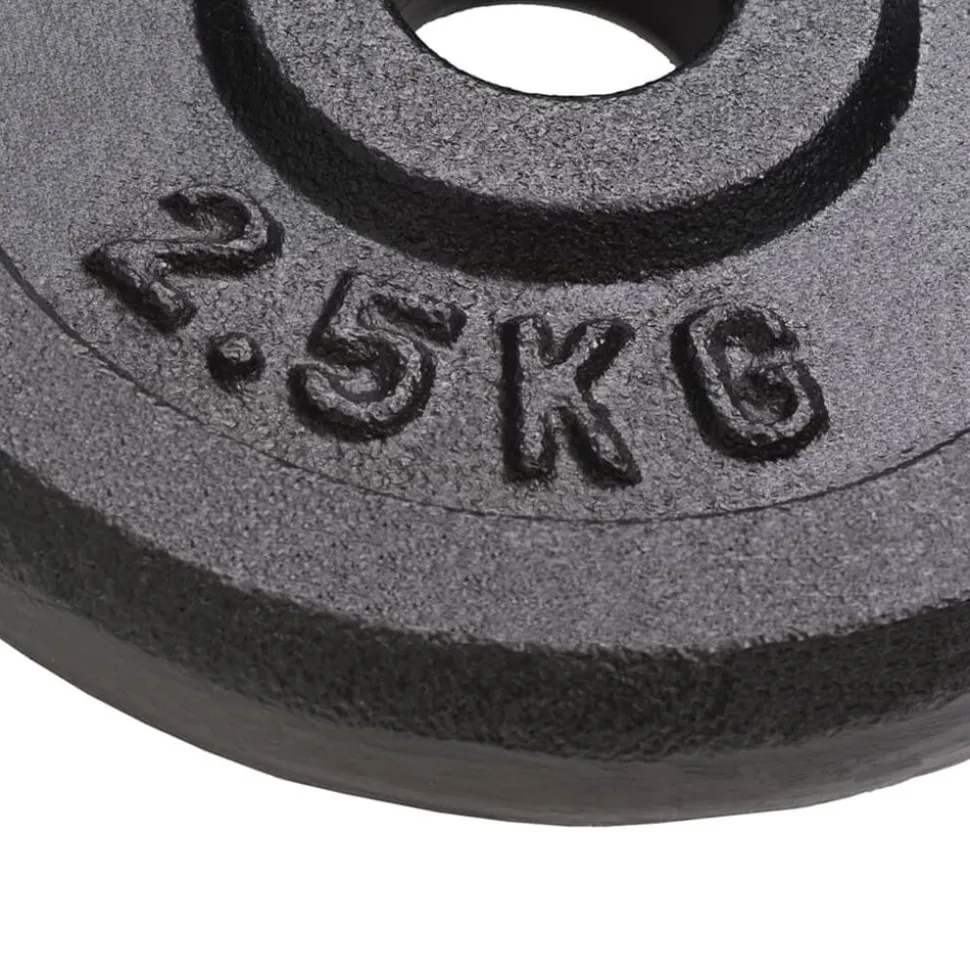 vidaXL Halterschijven 8 st 8x2,5 kg gietijzer