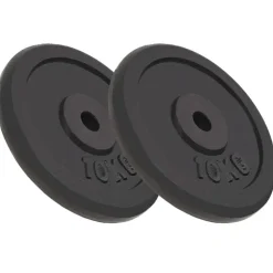 vidaXL Halterschijven 2 st 2x10 kg gietijzer