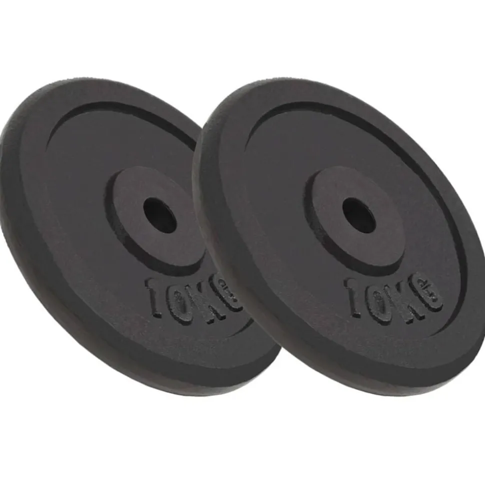 vidaXL Halterschijven 2 st 2x10 kg gietijzer
