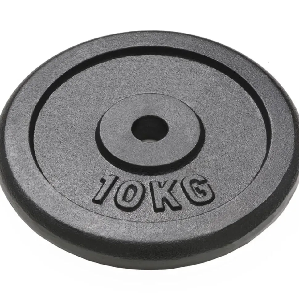 vidaXL Halterschijven 2 st 2x10 kg gietijzer