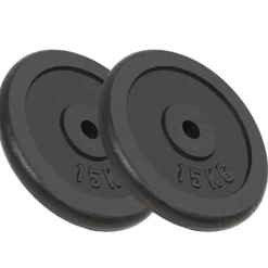 vidaXL Halterschijven 2 st 2x15 kg gietijzer
