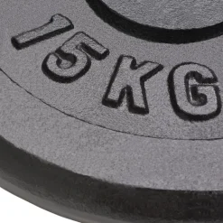 vidaXL Halterschijven 2 st 2x15 kg gietijzer