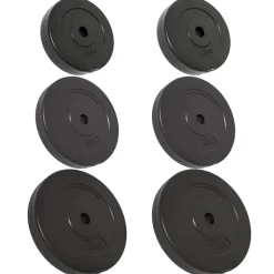 vidaXL Halterschijven 6 st 30 kg cement