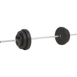 vidaXL Halterset 30 kg
