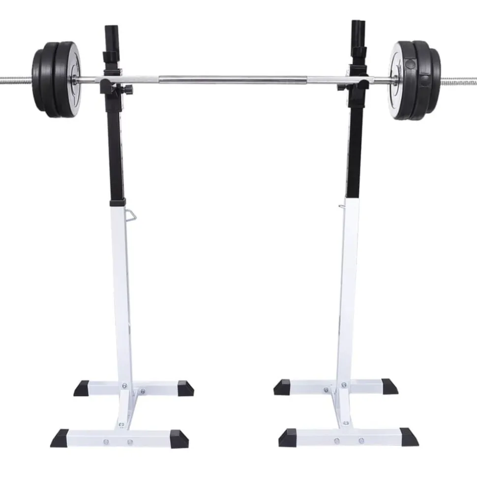 vidaXL Halter-/squatrek met halterset 60,5 kg