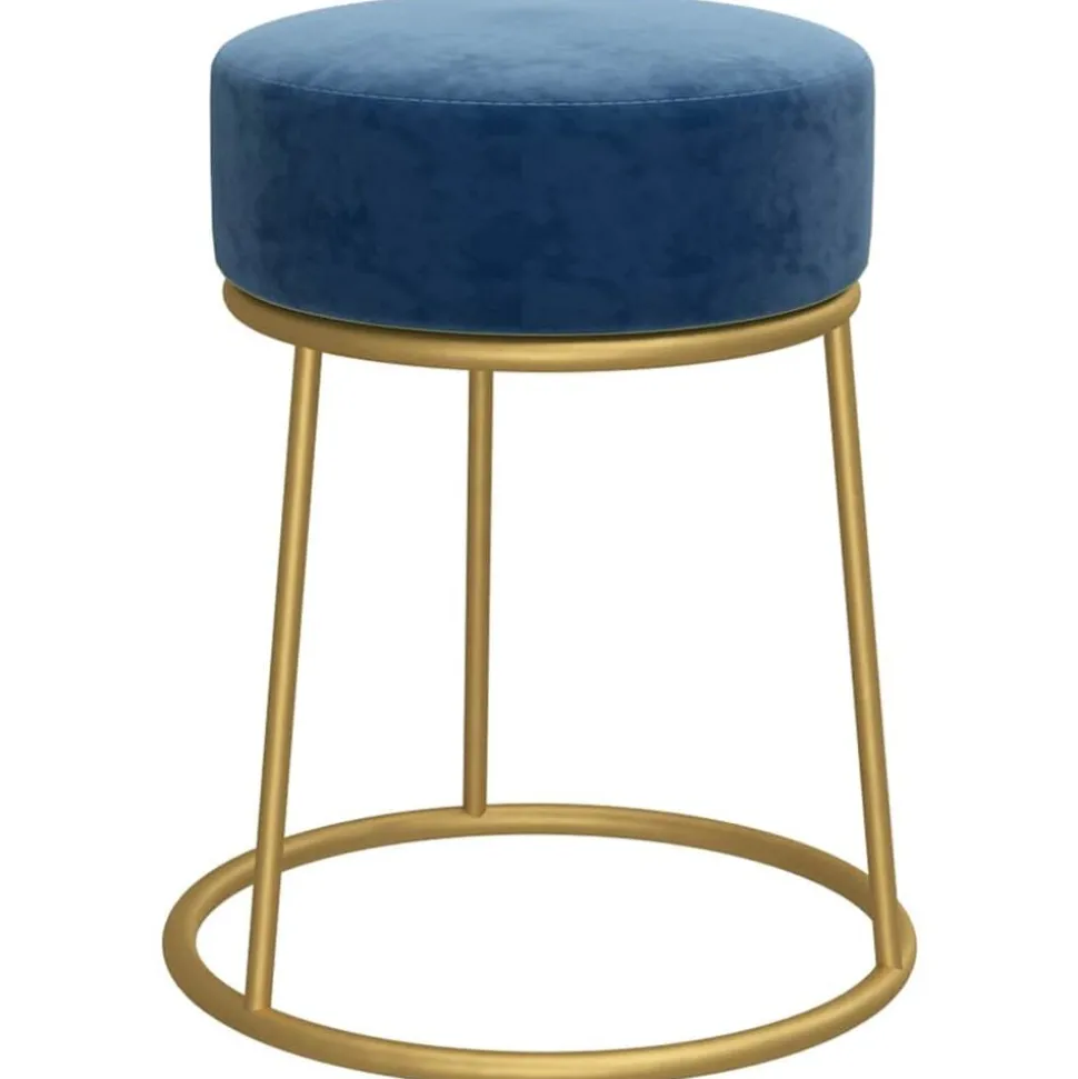 vidaXL Hocker rond fluweel blauw