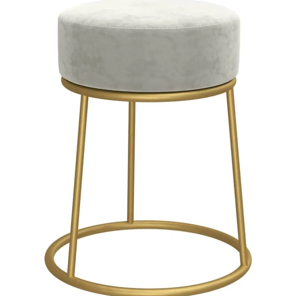 vidaXL Hocker rond fluweel lichtgrijs