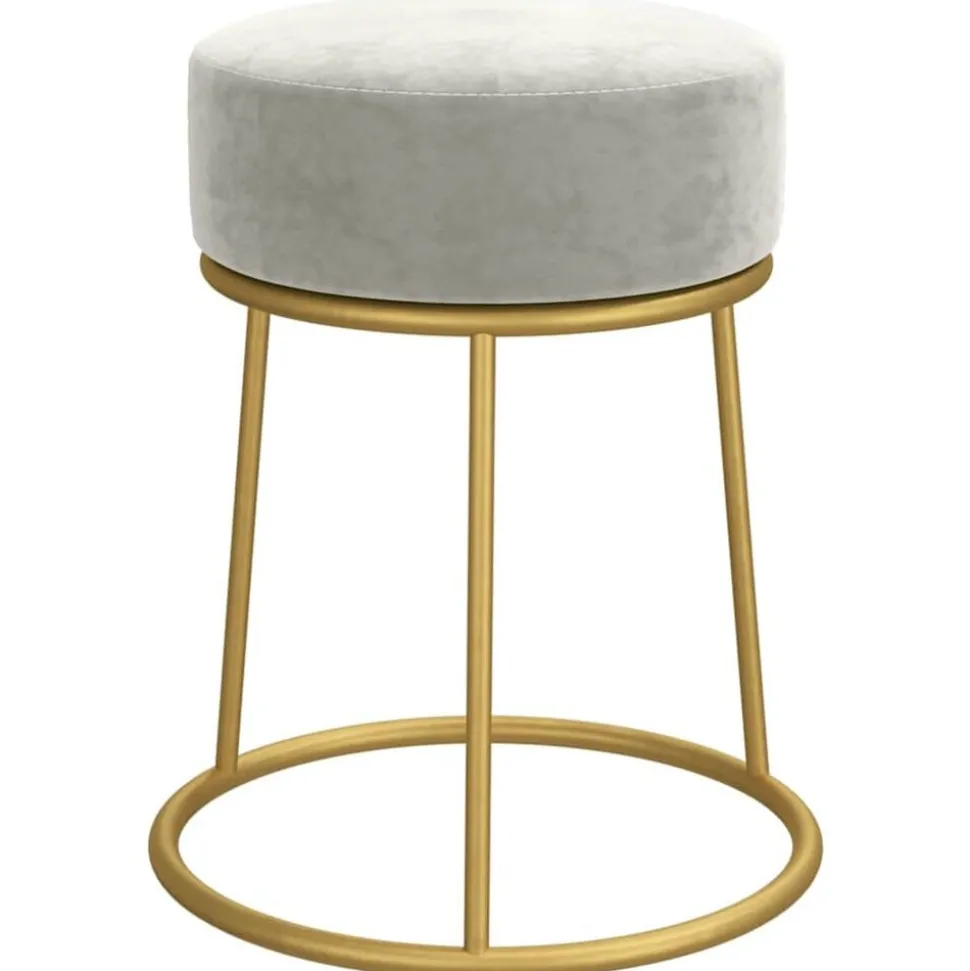 vidaXL Hocker rond fluweel lichtgrijs