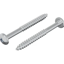 vidaXL Houten Schroef 2 pcs Zilver 9,8 x 53 mm Staal