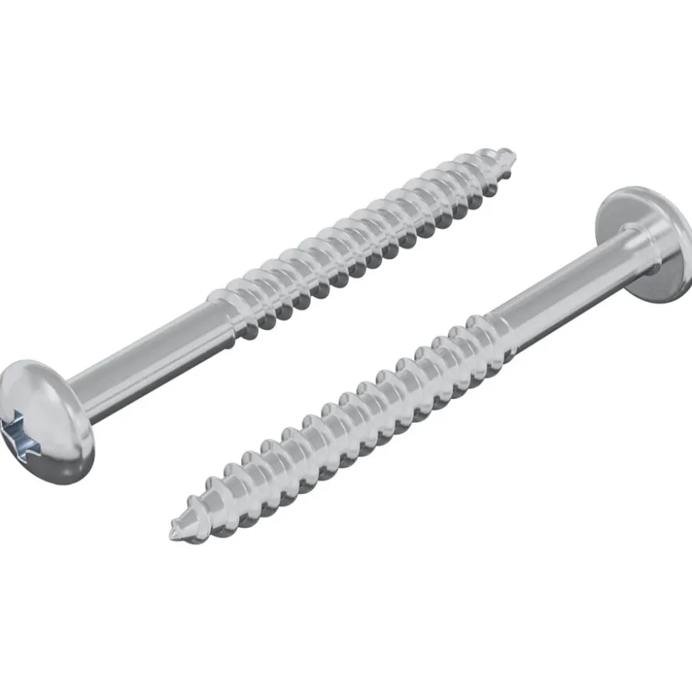 vidaXL Houten Schroef 2 pcs Zilver 9,8 x 53 mm Staal