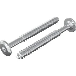 vidaXL Houten Schroeven 2 pcs Zilver M6 x 70 mm Staal