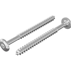 vidaXL Houten Schroeven 2 pcs Zilver M6 x 70 mm Staal